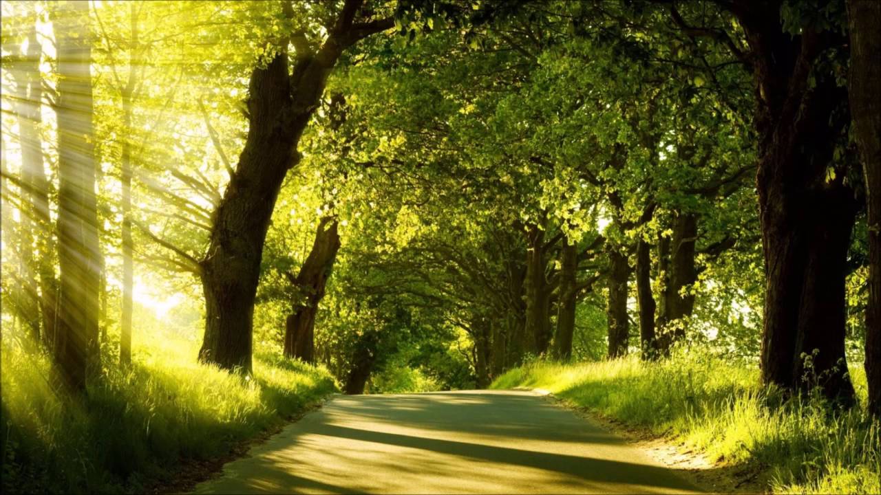 اليوم الاول من صلاة التراويح _ رمضان 1437 _ 2