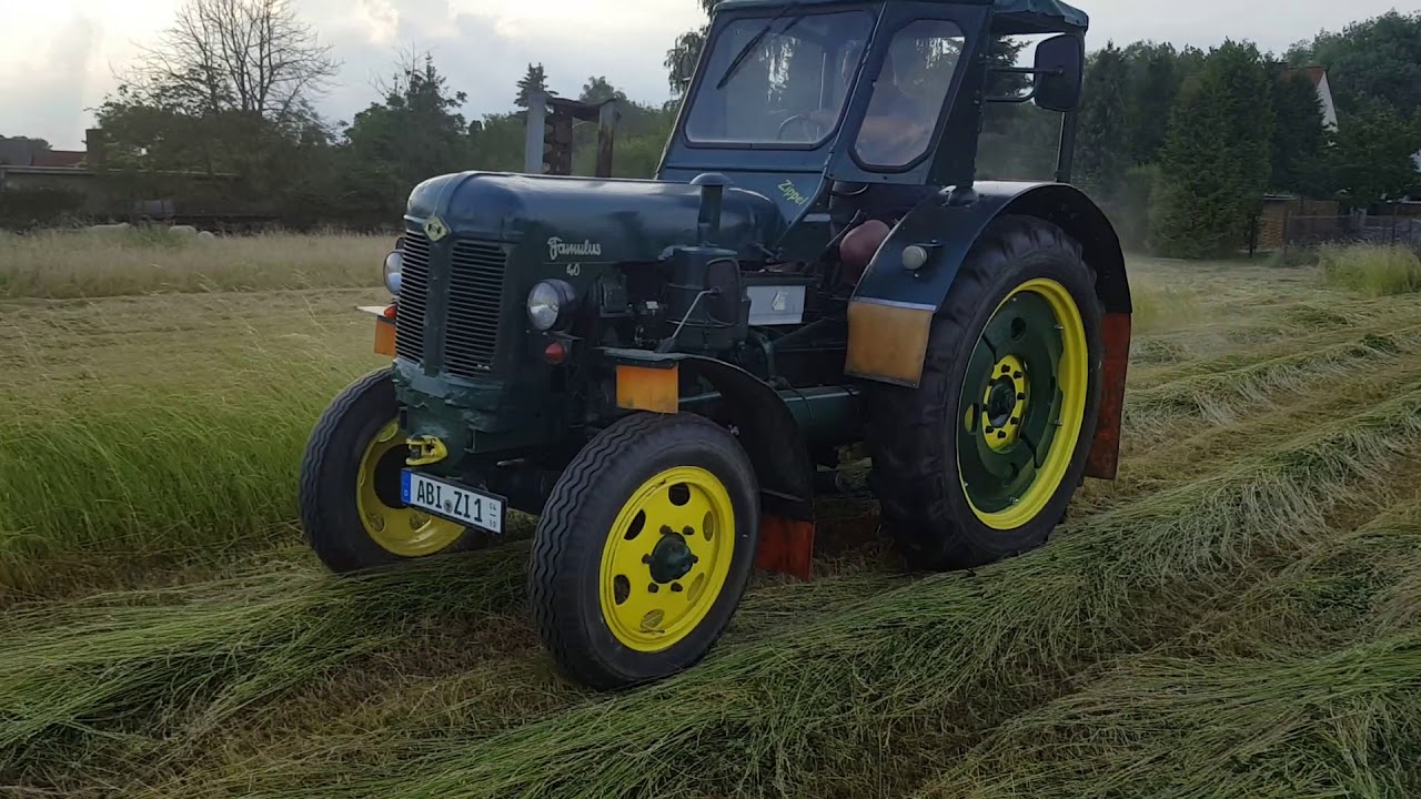 Famulus 40 mäht die Wiese 2018