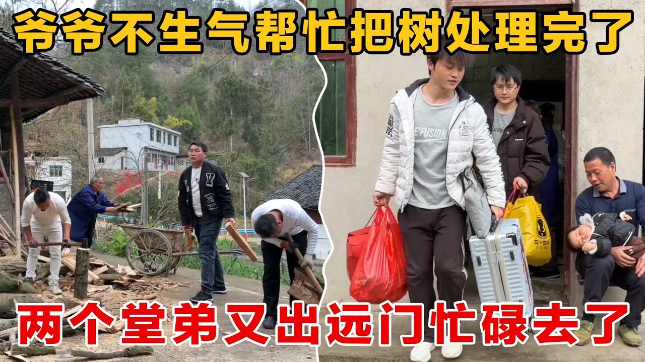 爷爷不生气了，还主动帮忙把树给劈完了，两个堂弟又出远门奋斗去了