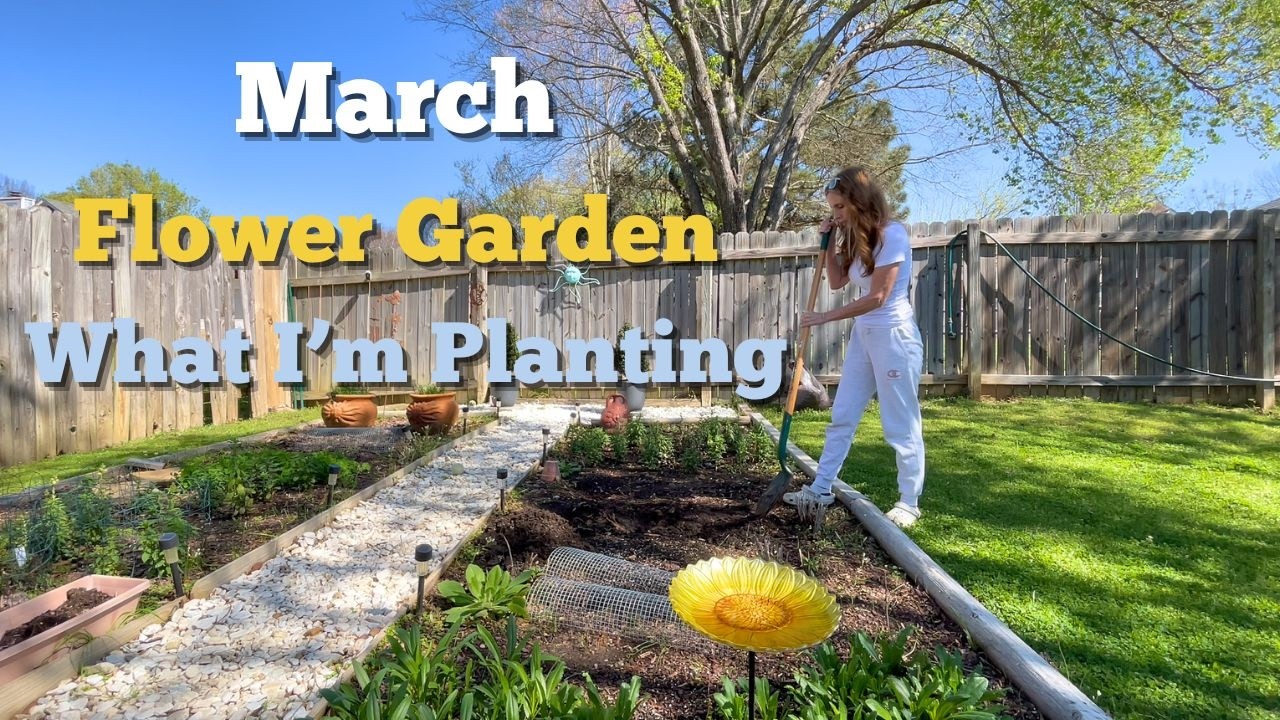 March Garden 🌼Dahlias, Strawflowers, Flower Updates🌼What I'm Planting in My Garden
