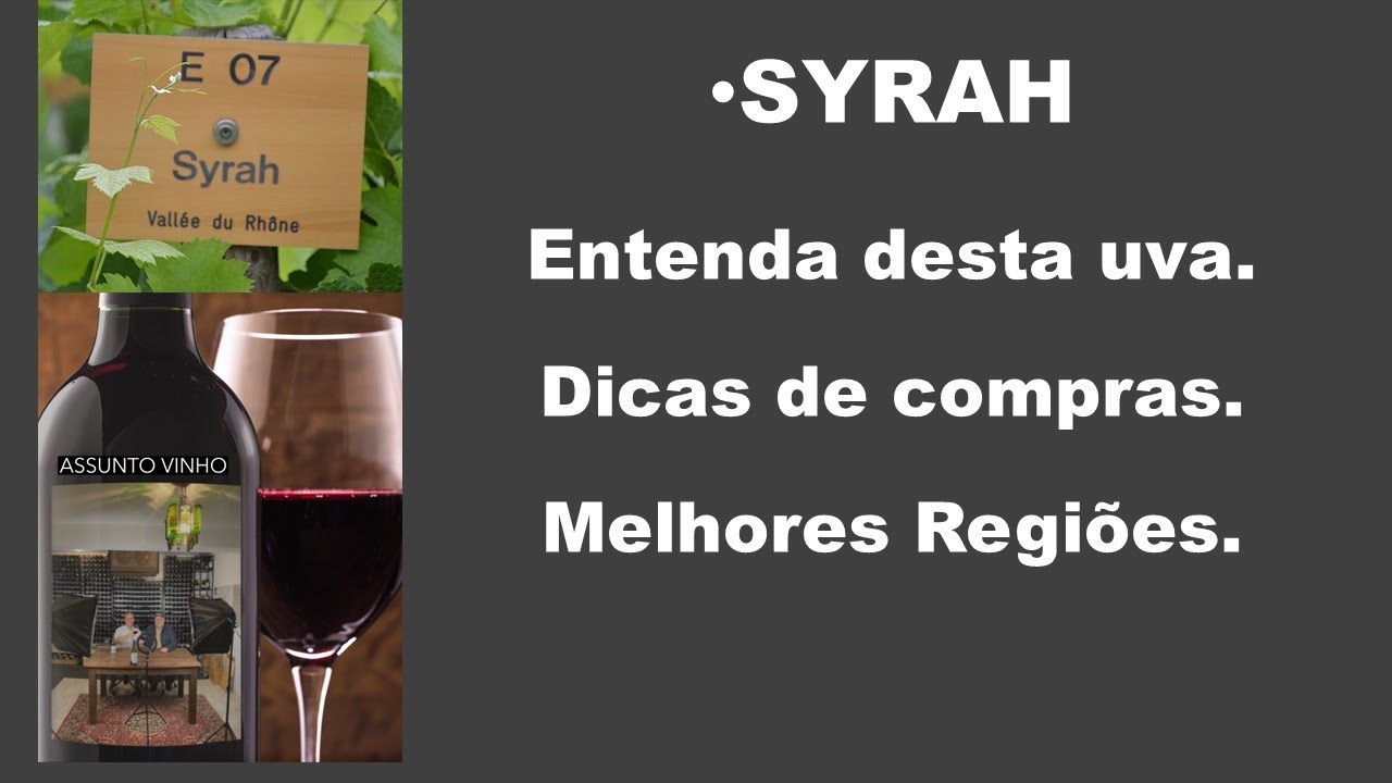 Syrah: O mais potente dos grandes vinhos.