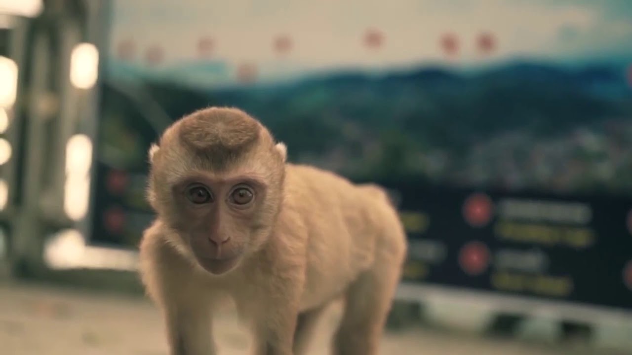 ТОП 50 ПЕСЕН ITUNES 🌴 Лучшая Музыка 2020 🌴 Зарубежные песни Хиты 🌴 Популярные Песни Слушать 2020