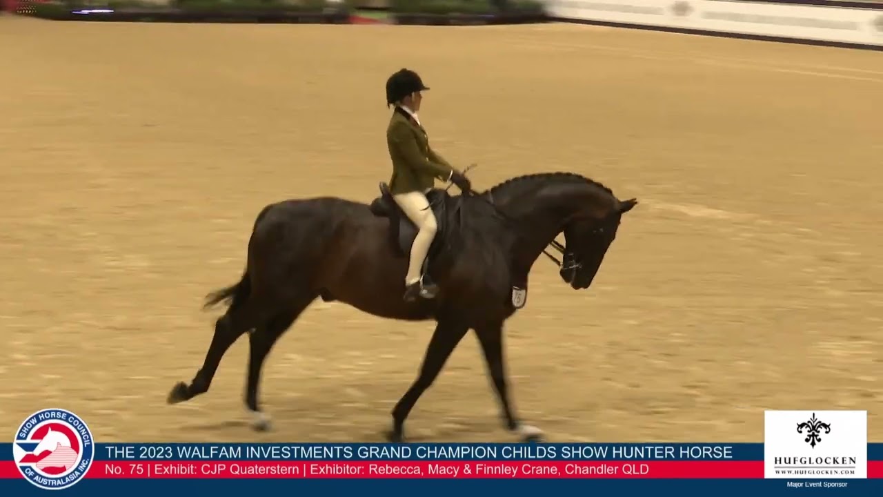 2023 SHCA GN - Grand Champion Childs Show Hunter Horse - Georgia riding Cronin CJP Quaterstern - Run