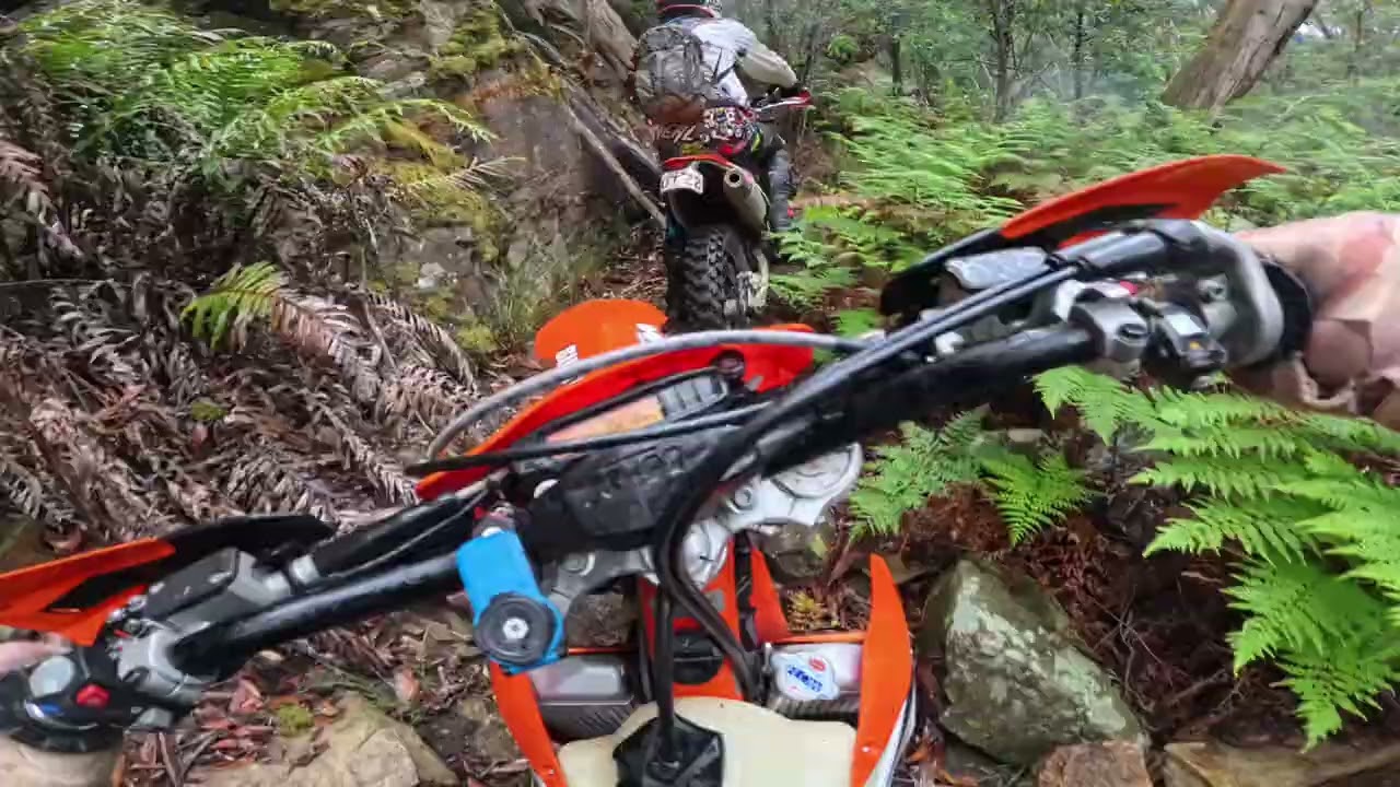 Day in the Bush Vol.3