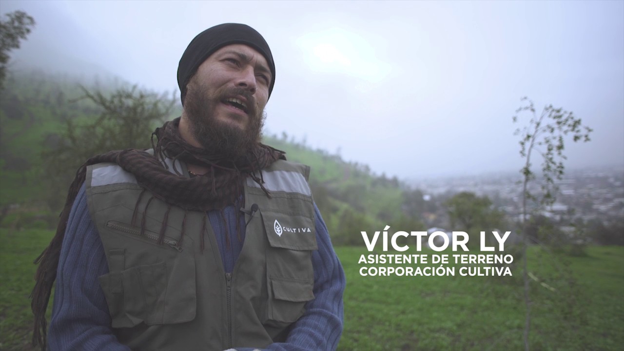 Reforestemos Chile Nativo - Invitaci&oacute;n Cultiva