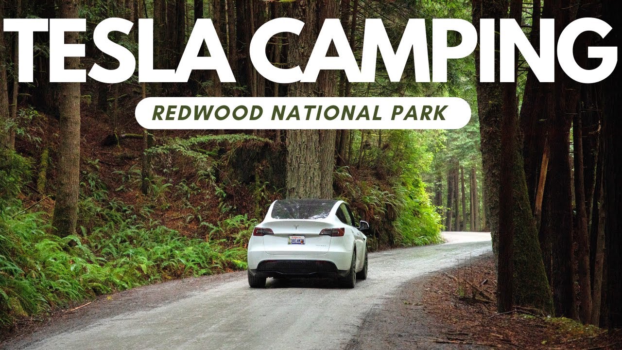 TESLA CAMPING in REDWOOD NATIONAL PARK - Road trip from LOS ANGELES to the FOREST // 4K