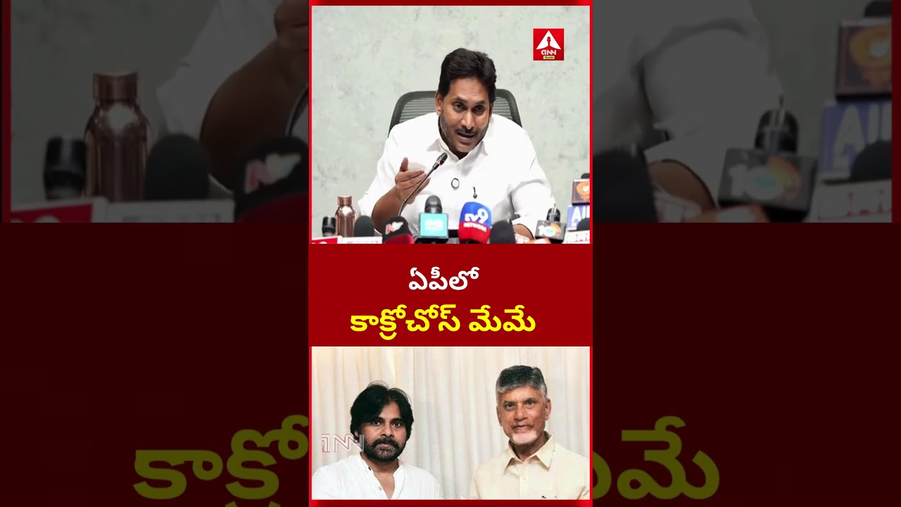 YS Jagan Sensational Comments | CJP In AP | Cockroach | ఏపీలో కాక్రోచోస్ మేమే | ANN Telugu