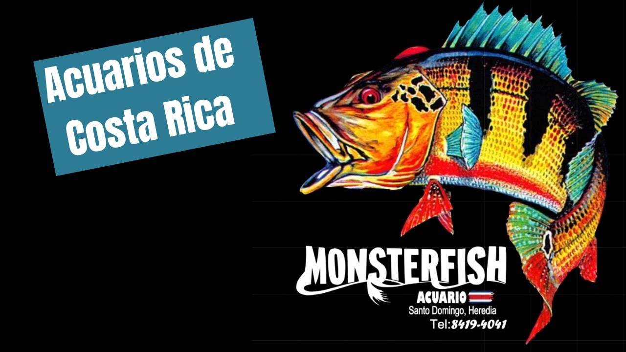 Acuarios de Costa Rica - MonsterFish