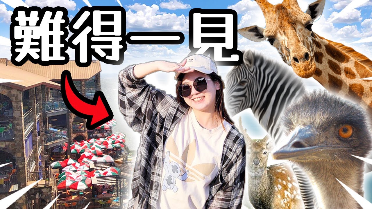 我們去美國德州 Austin 必去景點!!