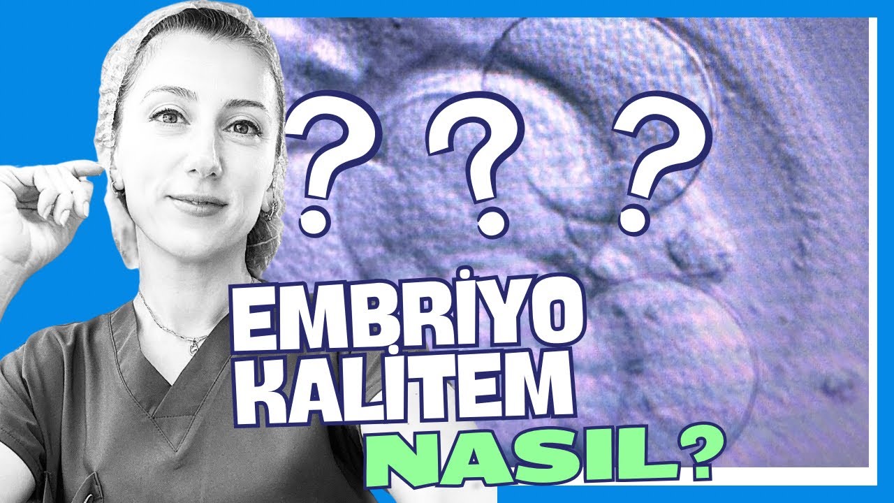 Каково качество моего эмбриона?