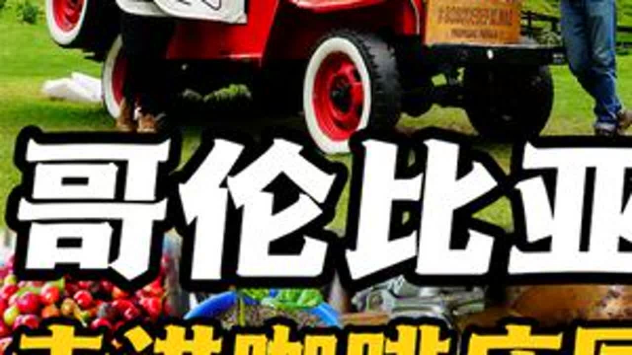 环球旅行第555天，走进哥伦比亚咖啡庄园｜见证咖啡的诞生 #环球旅行 #咖啡  #春节出游指南 #vlog