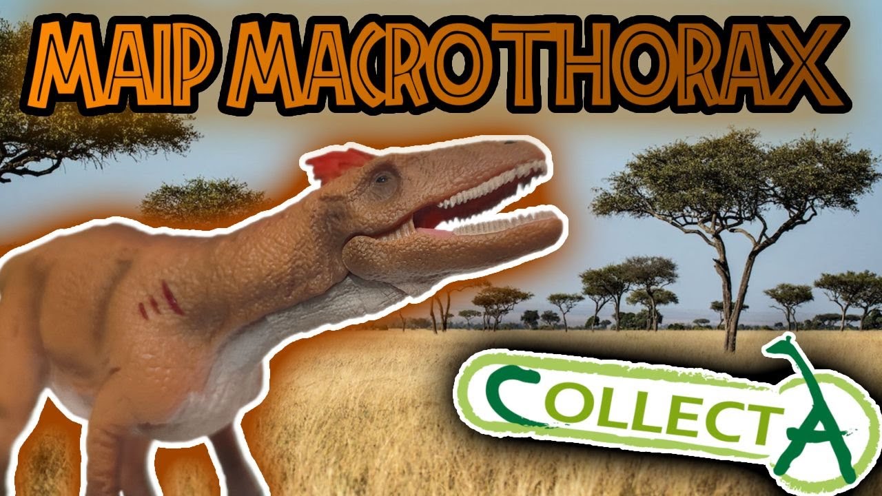 IL "RAPTOR" GIGANTE DELLA PATAGONIA! Recensione Maip macrothorax |Collecta 2025|