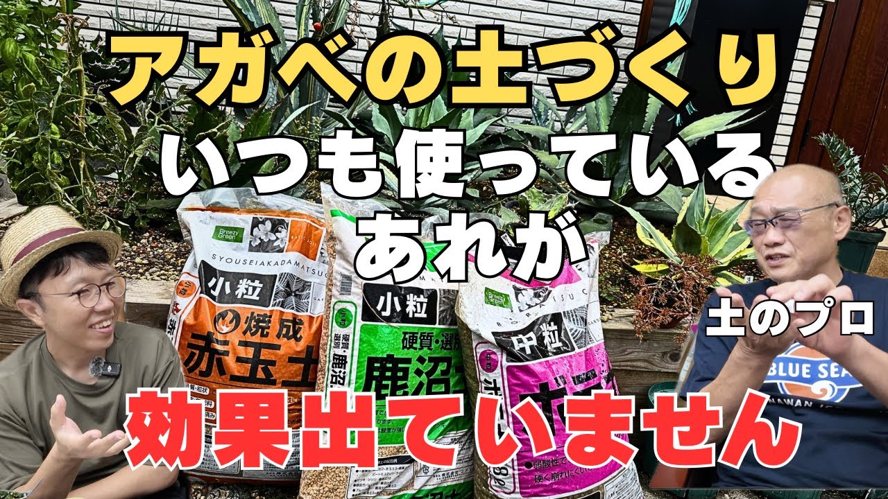 【アガベの土】プロが考える土づくり！くん炭は必要なし？オルトランの効果は？