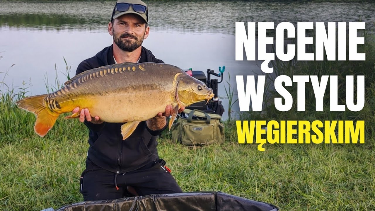 Nęcenie w stylu węgierskim na łowisku PZW. Nowy rekord?! Method Feeder i wędkarstwo dystansowe.