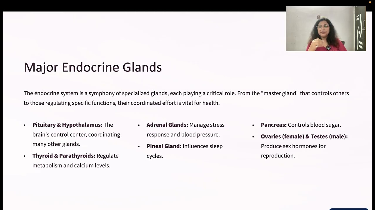 Introduction of Endocrine system