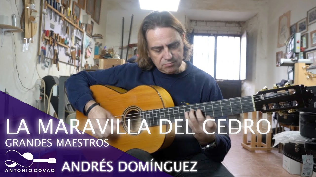 LA MARAVILLA DEL CEDRO. ANDRÉS DOMÍNGUEZ