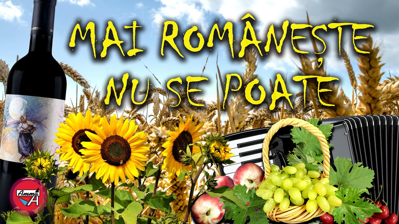 MUZICA DE PETRECERE &ndash; MAI ROMANESTE NU SE POATE - STAI SA VEZI.....TREABA SE INCINGE PE PARCURS...