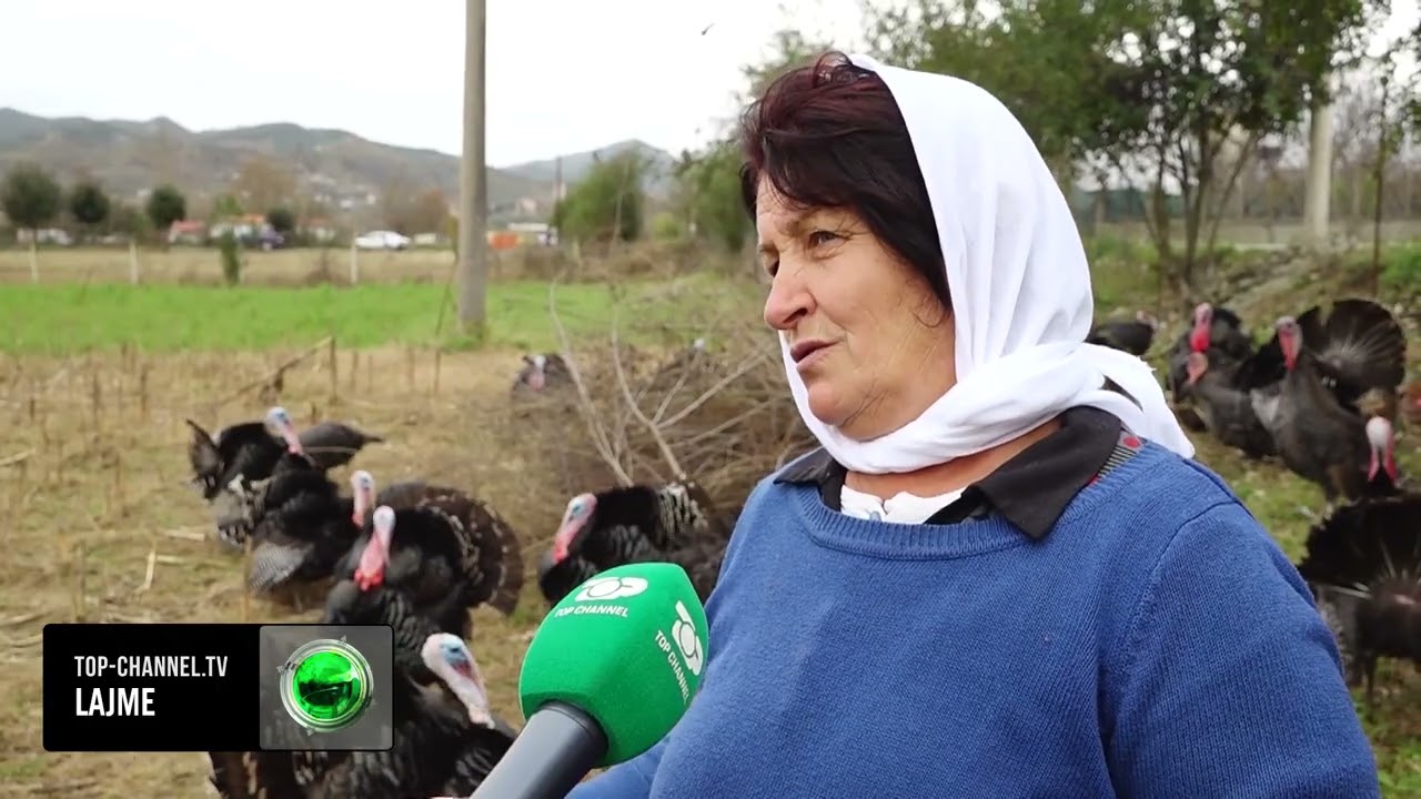 Top Channel/ Në fshatin e gjelit të festave/ Të hënën hapet tregu më i madh i shpendëve për Tiranën