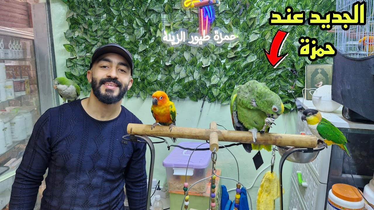 زيارة عند حمزة الجديد🔥عشاق طفرات الفيشر ببغاوات مختلف أنواع طيور الزينة فرجة ممتعة #سوق_القريعة