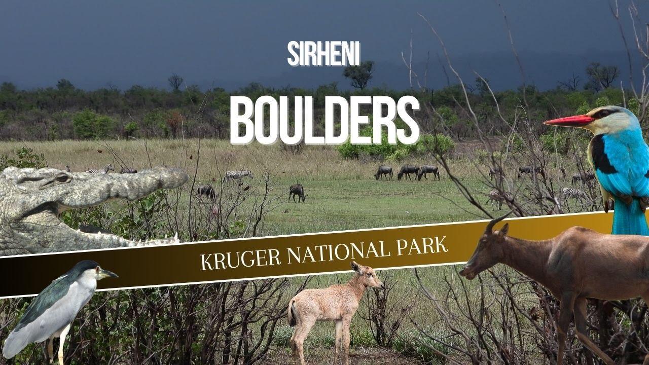 КРЮГЕР НП | Сирхени в Валуны | Тот, у кого спустило колесо, Цессебе и Кроксы