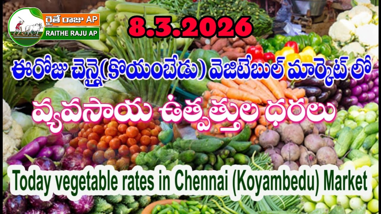 #all ఈరోజు చెన్నై కోయంబేడు మార్కెట్ లో కూరగాయల ధరలు #today vegetable rates Chennai Koyambedu market 