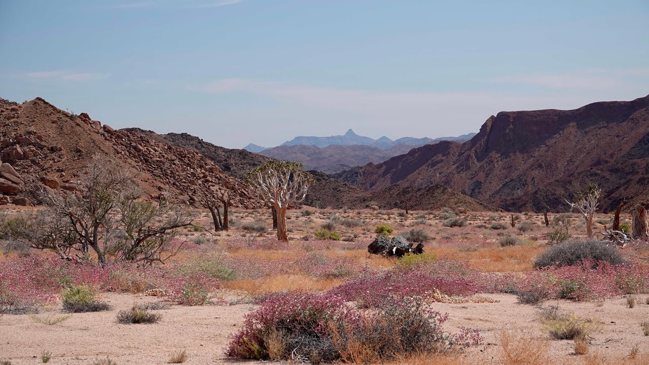 HIERDIE PAD GAAN JOU STIL MAAK - VAN KOKERBOOMKLOOF TOT RICHTERSBERG IN DIE RICHTERSVELD