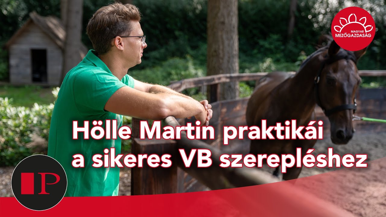 POM: Beekbergenben járt a Pegazus a világ legfiatalabb fogathajtó-világbajnokánál