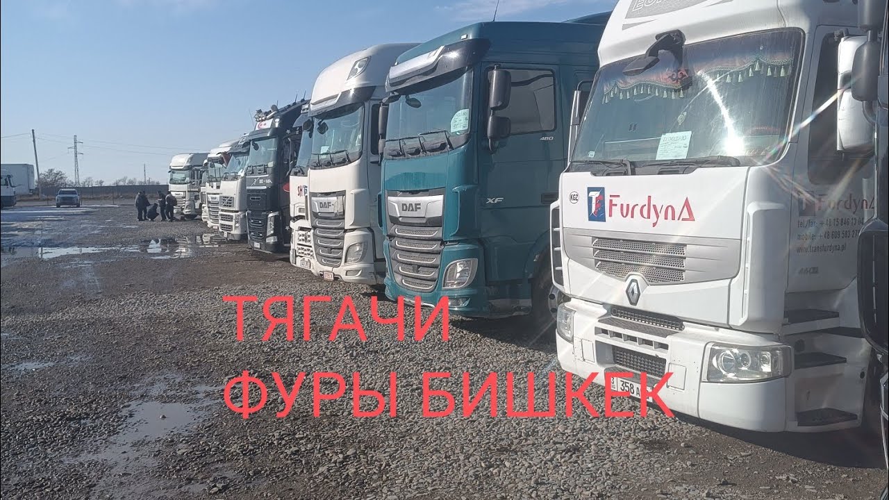 Тягачи Фуры Бишкек 01.02.2026#бишкек#авторынок#тягачи#прицепы