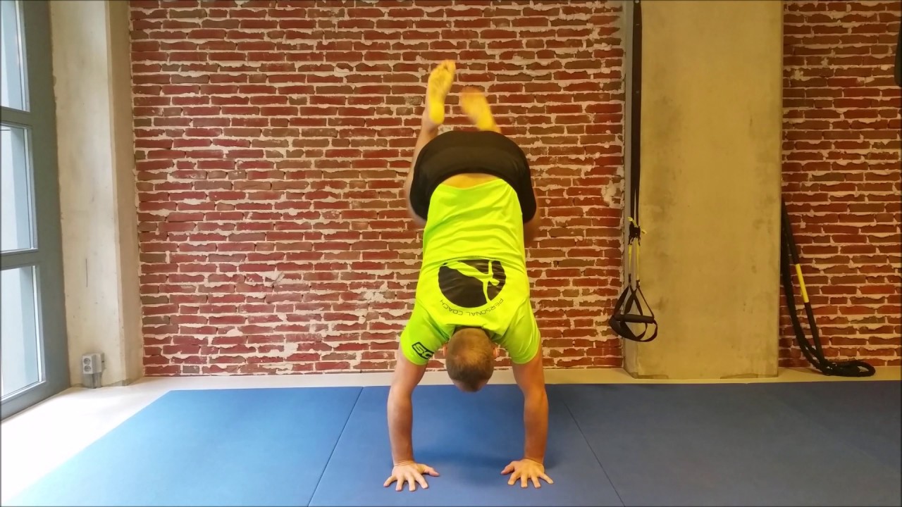 Animal Flow Level 1 - Switches & Transitions
