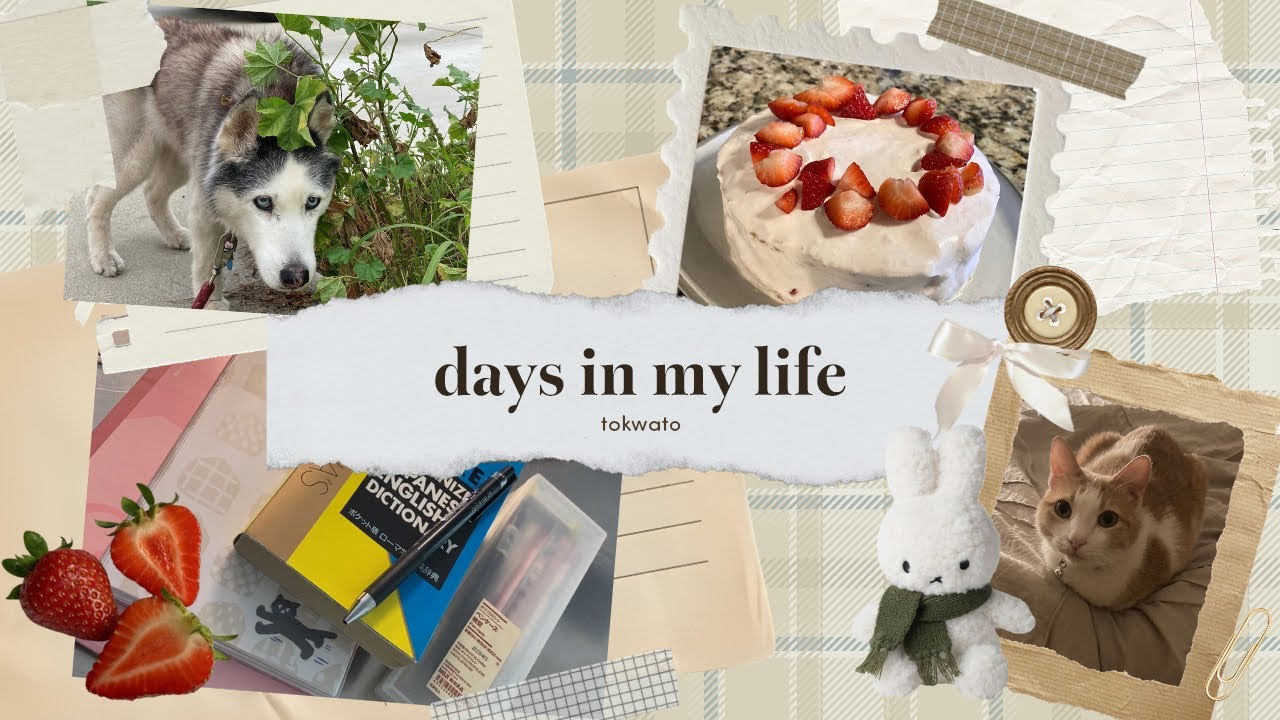 how i spend my time after work ⋆˚ʚɞ daily walks, studying, journaling .✦ ݁˖ video diary #1