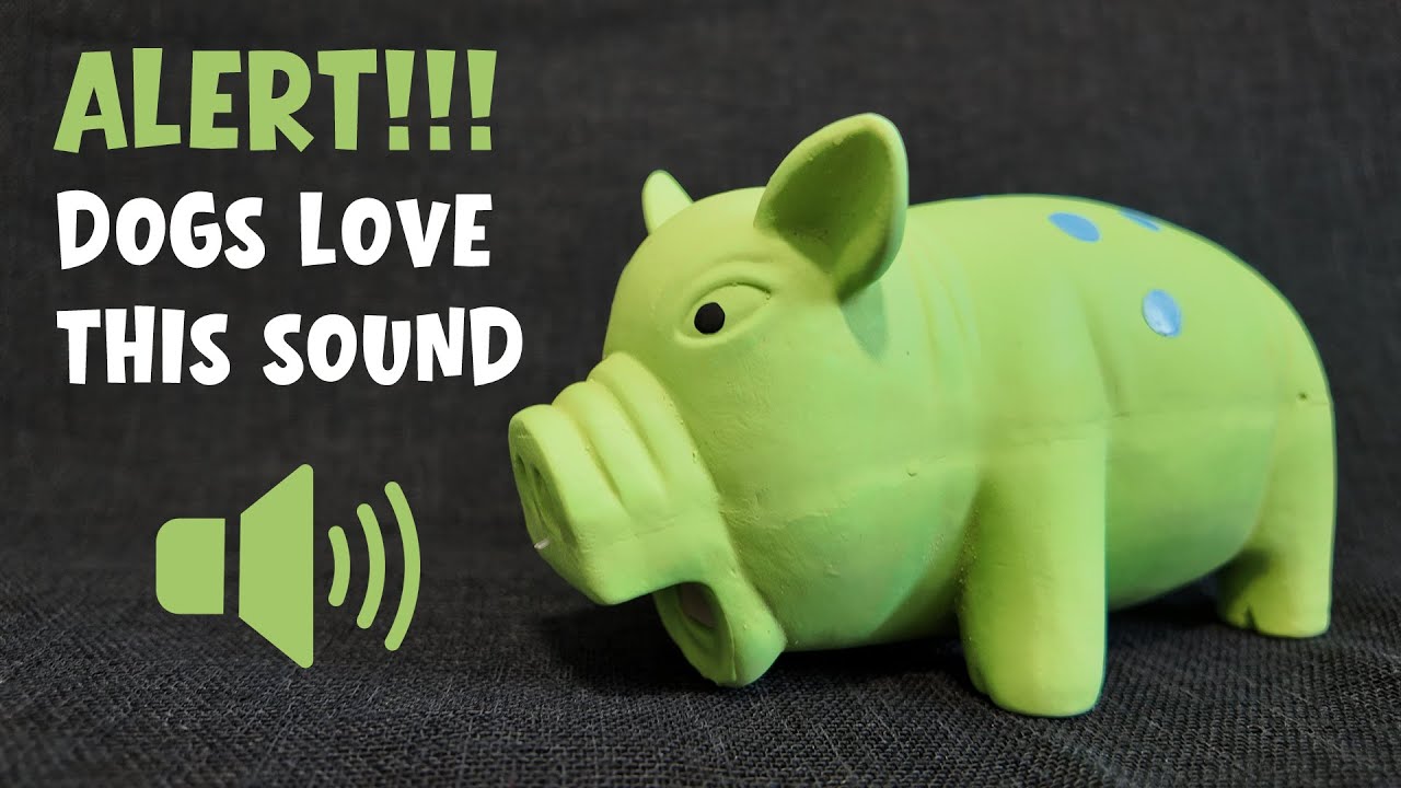 Cuteness Alert: Dogs Love This Sound 😍