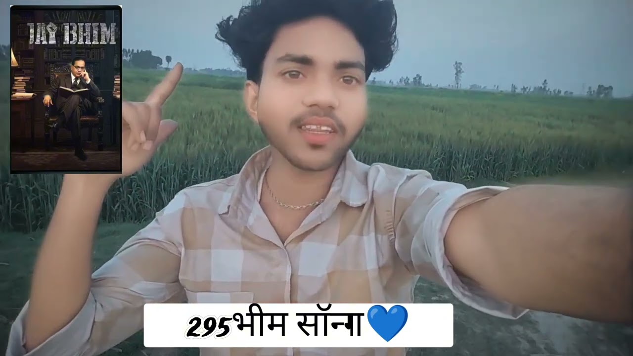295 भीम सॉन्ग 💙 #viralvideo #295 #jaybhim 