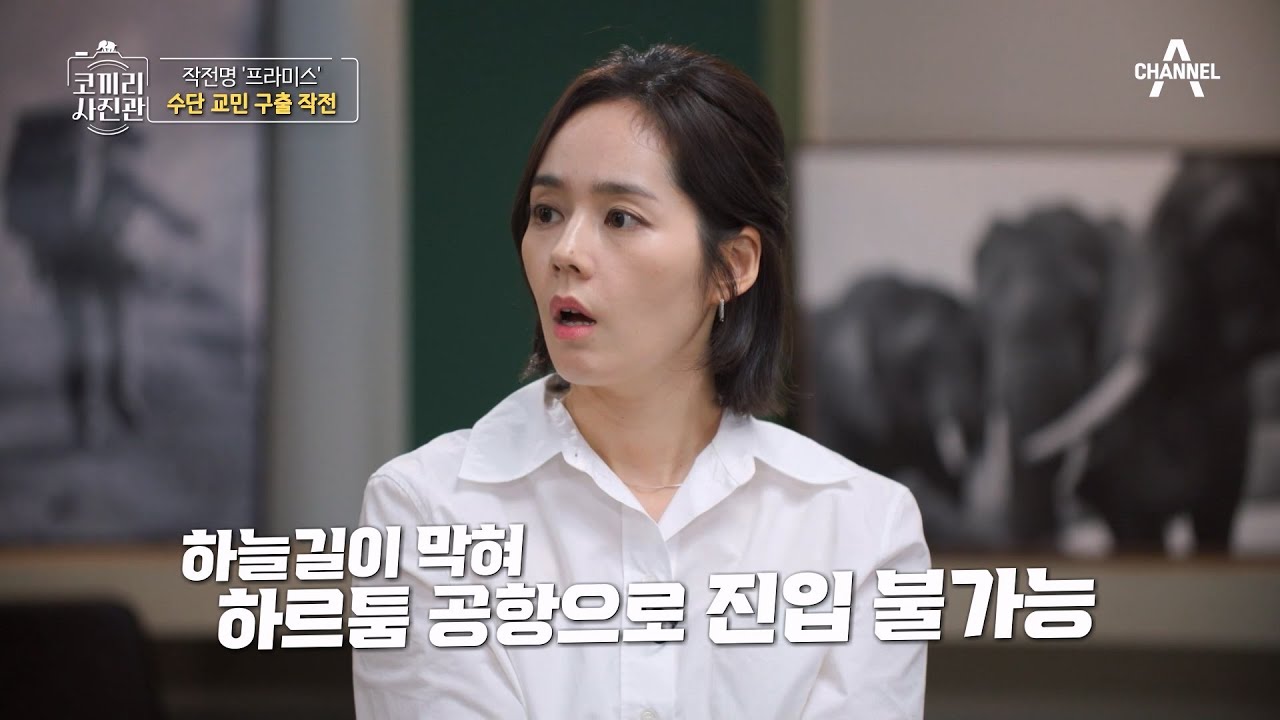 작전명 '프라미스'♨ 목숨을 건 수단 교민 구출 작전 | 영웅을 기억하는 나라 코끼리 사진관 8 회