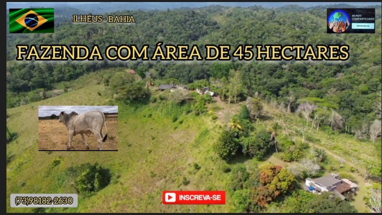 Fazenda para pecuária, área de 45 hectares com 38 hectares de Pastarias, localizada em Ilhéus -BA.