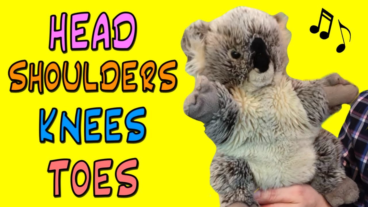 Head Shoulders Knees and Toes | Mr. Simon Music | Movement Song for Children