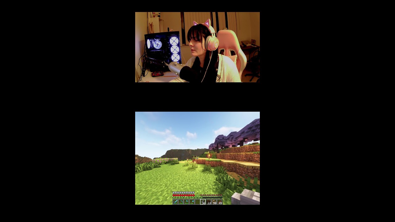 MINECRAFT LIVE