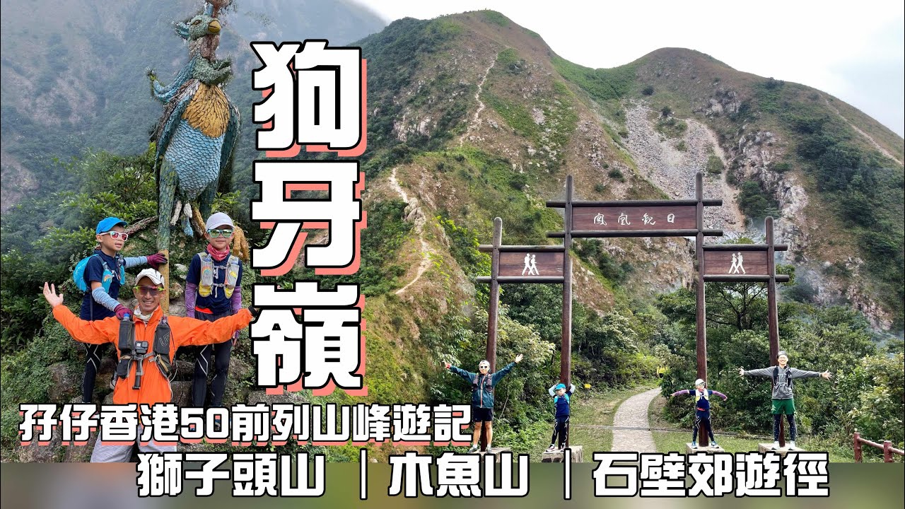 狗牙嶺[香港郊遊行山好去處]4K 獅子頭山 木魚山 石壁郊遊徑 狗牙嶺 ｜中狗牙上東狗牙落｜孖仔行山挑戰50前列山峰｜高難度路線大嶼山行山郊遊路線