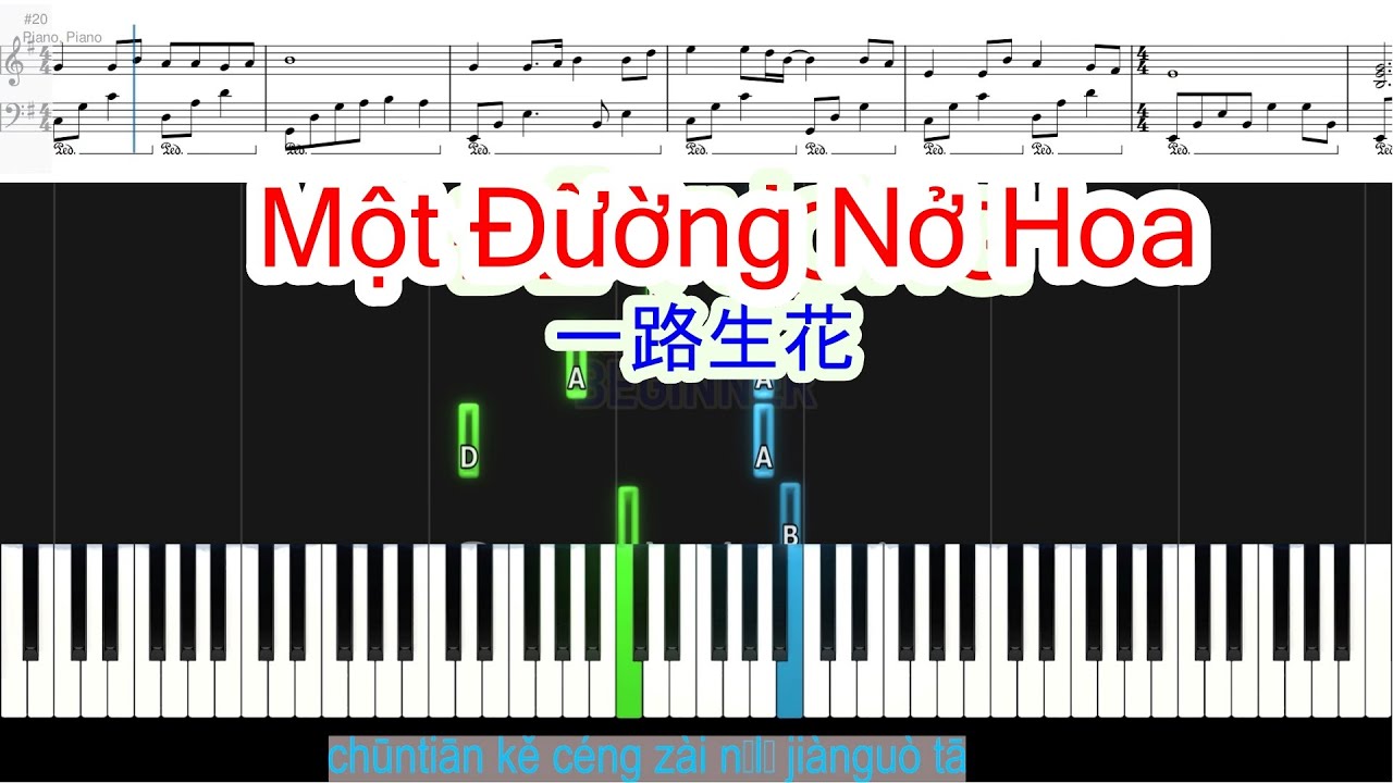 Một Đường Nở Hoa (一路生花) | Sheet Free