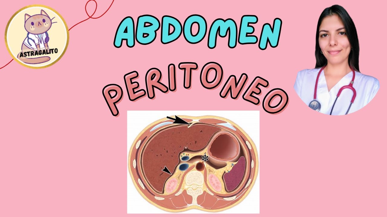 PERITONEO | ANATOM&Iacute;A- UBA