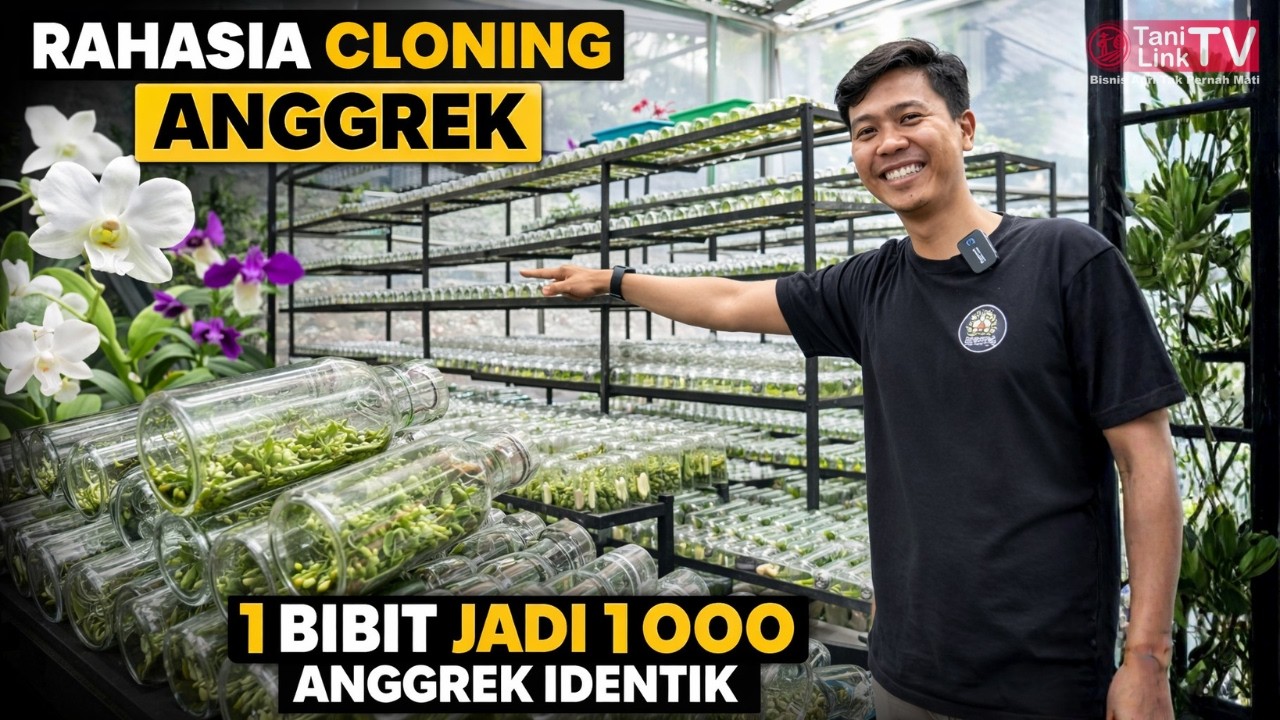 Dari Garasi Jadi Laboratorium! 4.000 Botol Kultur Jaringan Anggrek Diproduksi Ibu-Ibu Rumah Tangga.