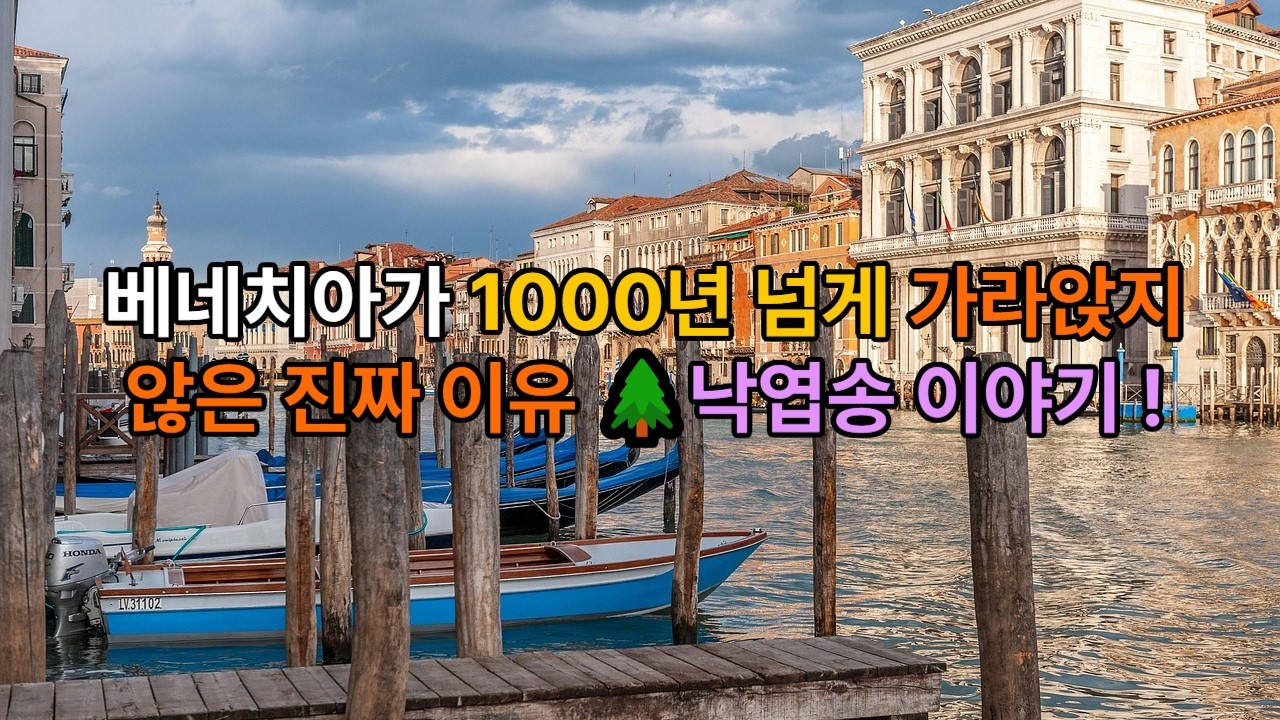 병든 소나무인 줄 알았던 나무, 낙엽송의 진짜 이야기 🌲 베네치아가 1000년 넘게 가라앉지 않은 진짜 이유 🌲 (3월 9일 탄생화)