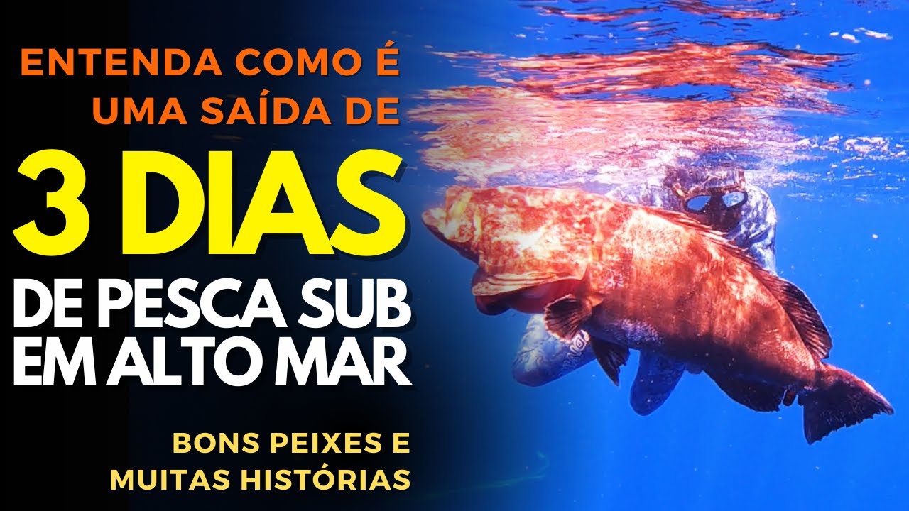 Hunter's Pesca Sub - Badejo, Barracuda, Dentão, saiu de tudo nessa Pescaria