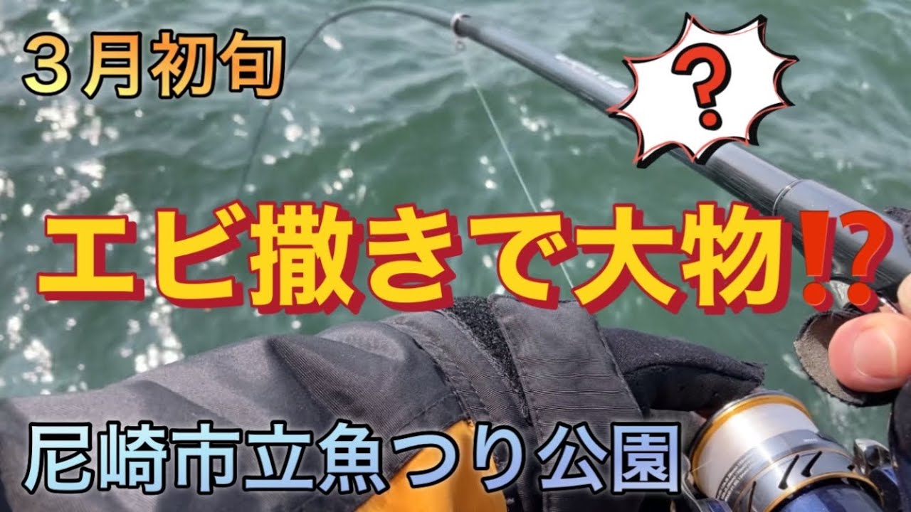 つり公園、エビ撒き釣りでまさかの結果に⁉️
