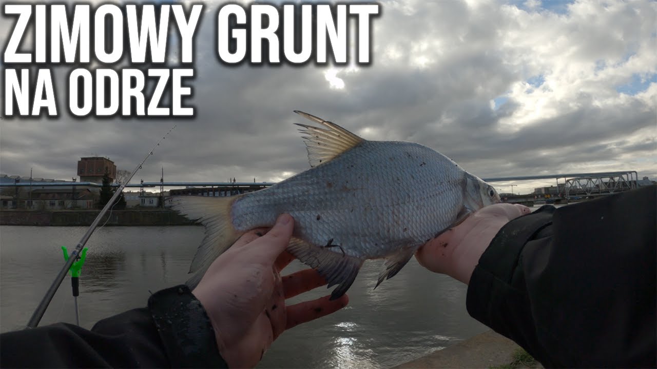 ŁOWIENE GRUNTOWE NA ODRZE ZIMĄ! | #vlog 9