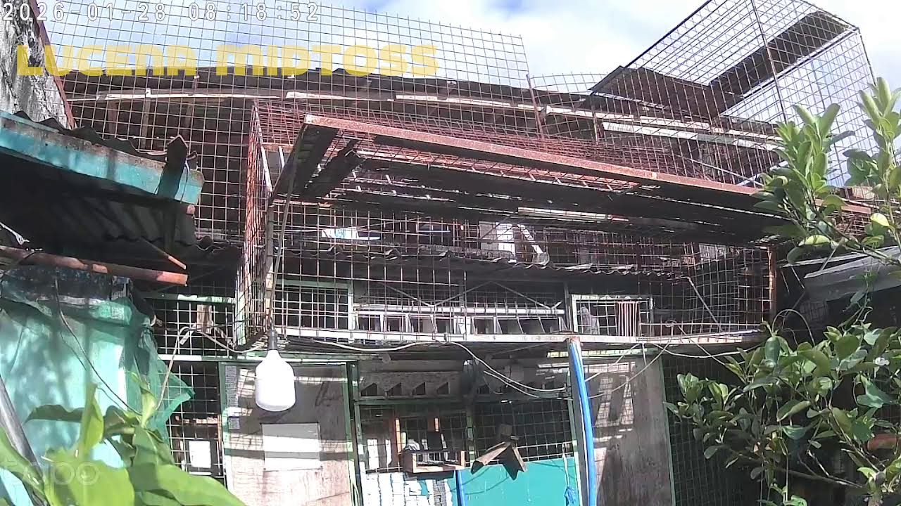 LIVE VIA CCTV !! LUCENA MIDTOSS