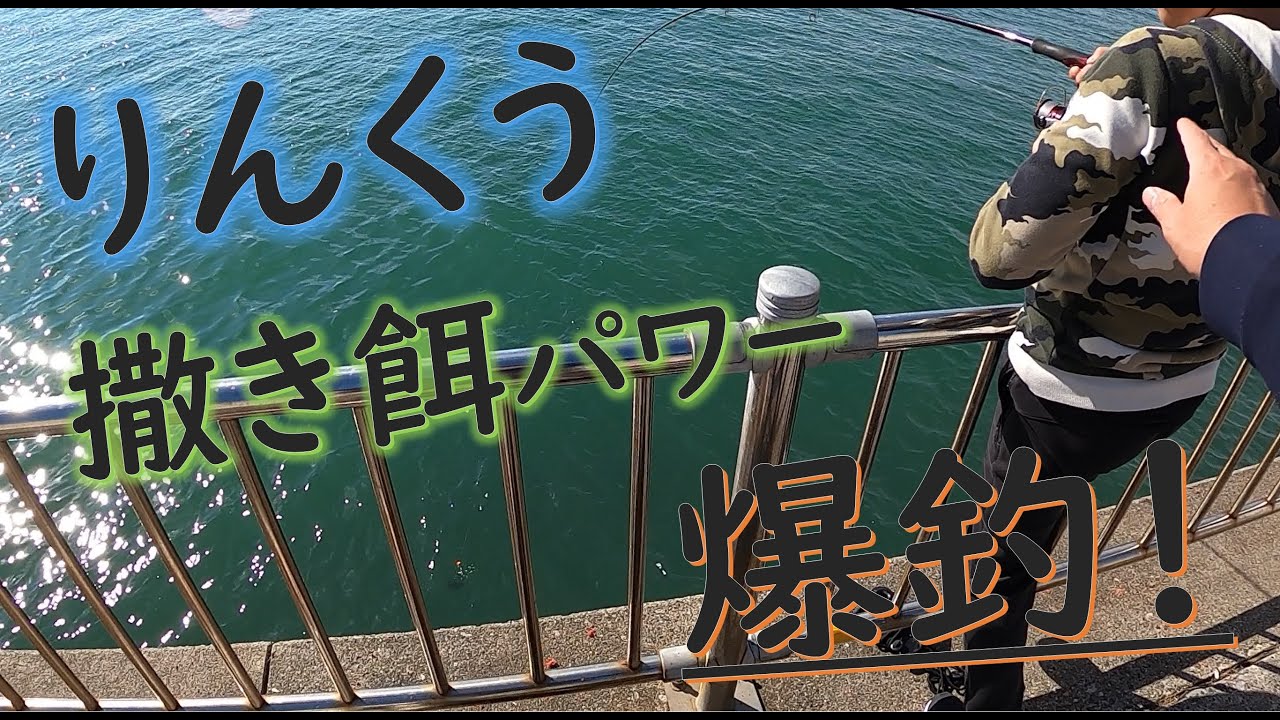 りんくうで撒き餌を使ったら爆釣だった！