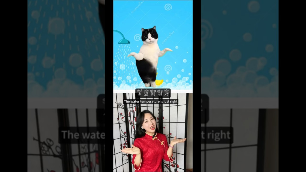Let&rsquo;s dance with cat 🐈&zwj;⬛ today! #lol #language #learnchinese #china #chinese #chineseteacher