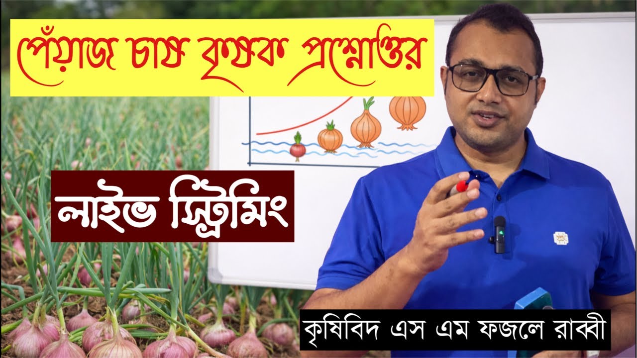 পেঁয়াজ চাষ কৃষক প্রশ্নোত্তর পর্ব। মোঃ 01711-648732