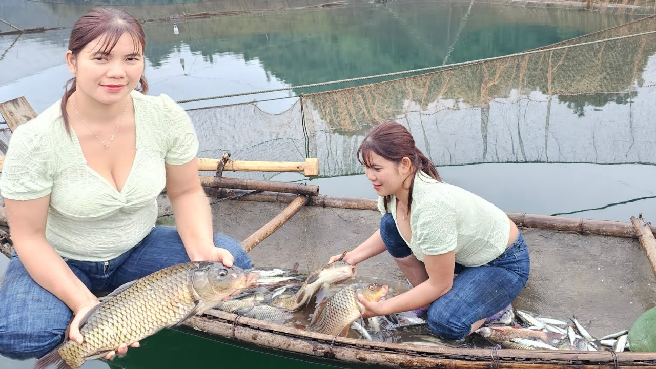 The girl bought a floating raft on the lake to fish, super huge, 25m x 25m in size. Many big fish.
