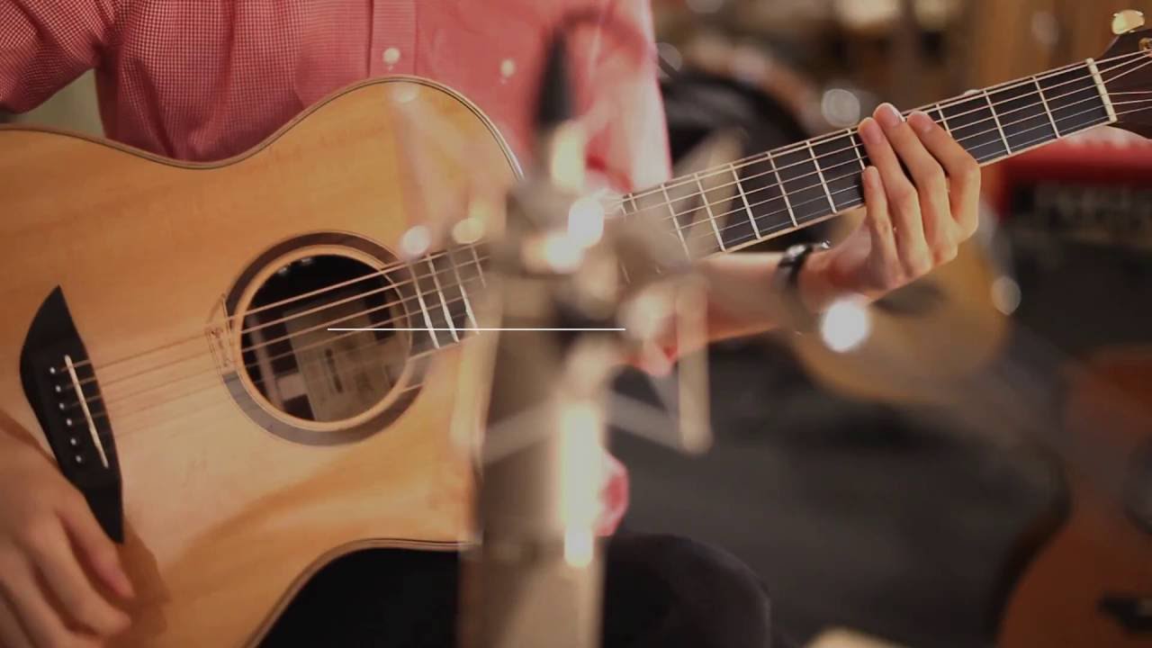 Luca stricagnoli - The Showman [Cover] / Gopherwood G820CE